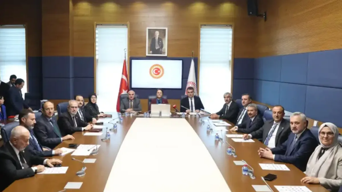 TBMM İnsan Haklarını İnceleme Komisyonu toplantısı