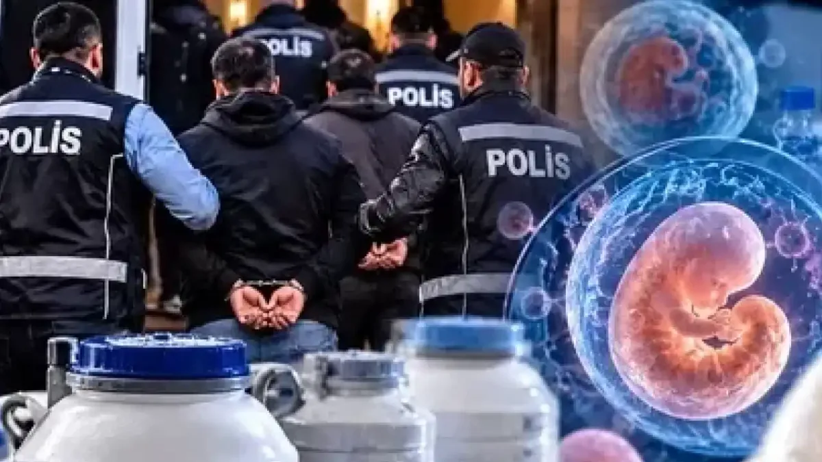Doku ve organ ticareti operasyonu sırasında gözaltına alınan şüpheliler.