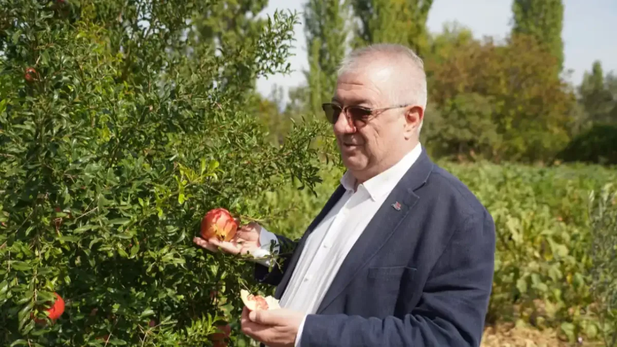 Edremit Belediyesi ata tohumlarını koruma altına alıyor