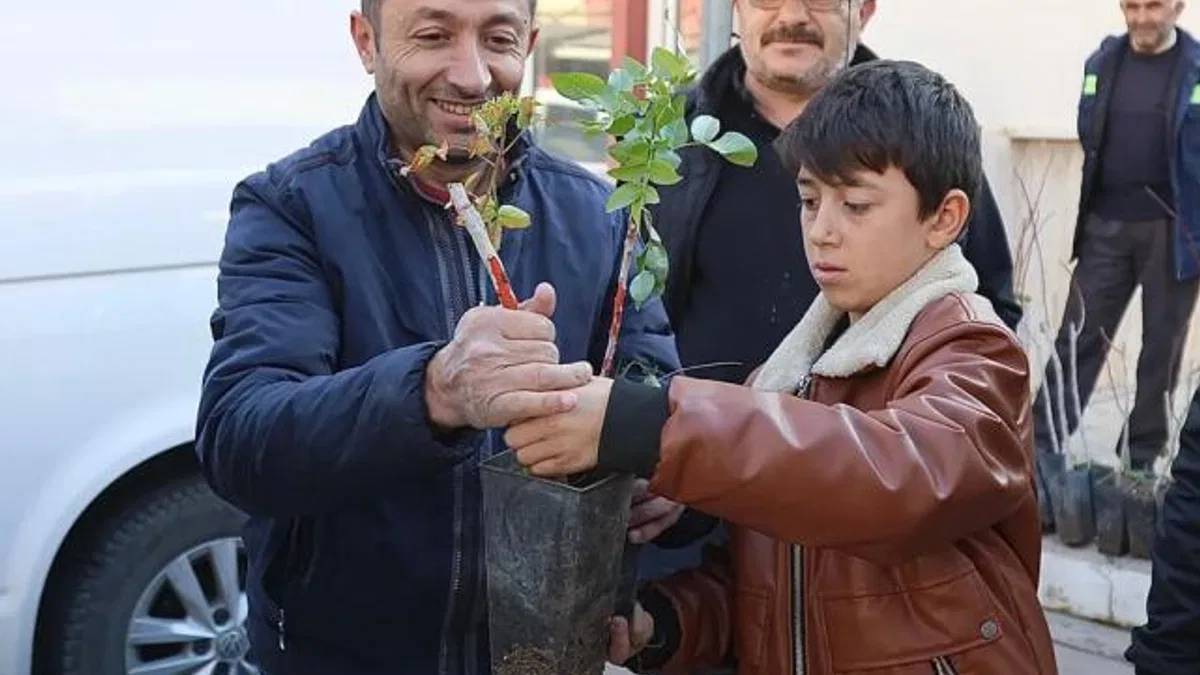Konya’nın 3 ilçesinde üreticiye Antep Fıstığı desteği