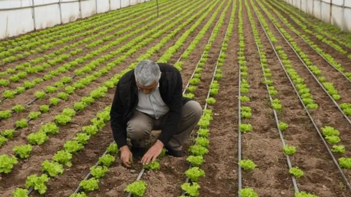 Balıkesir Büyükşehir’den üreticilere tam destek