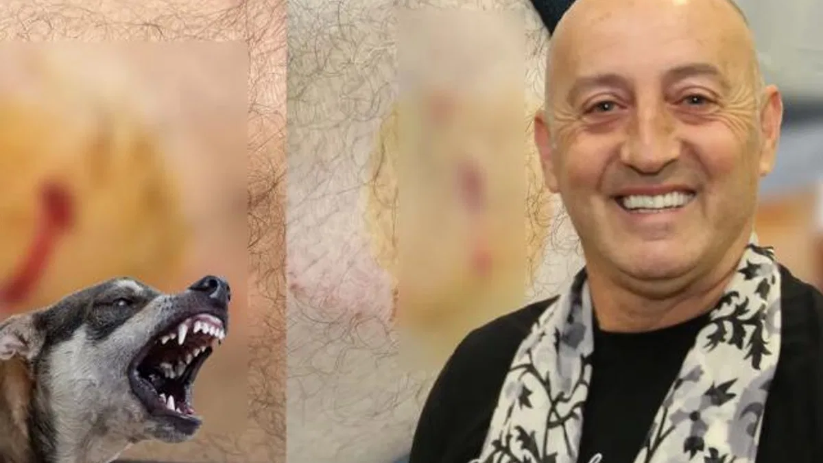 Gemlik Karacaali Muhtarı’na sokak köpeklerinden saldırı!
