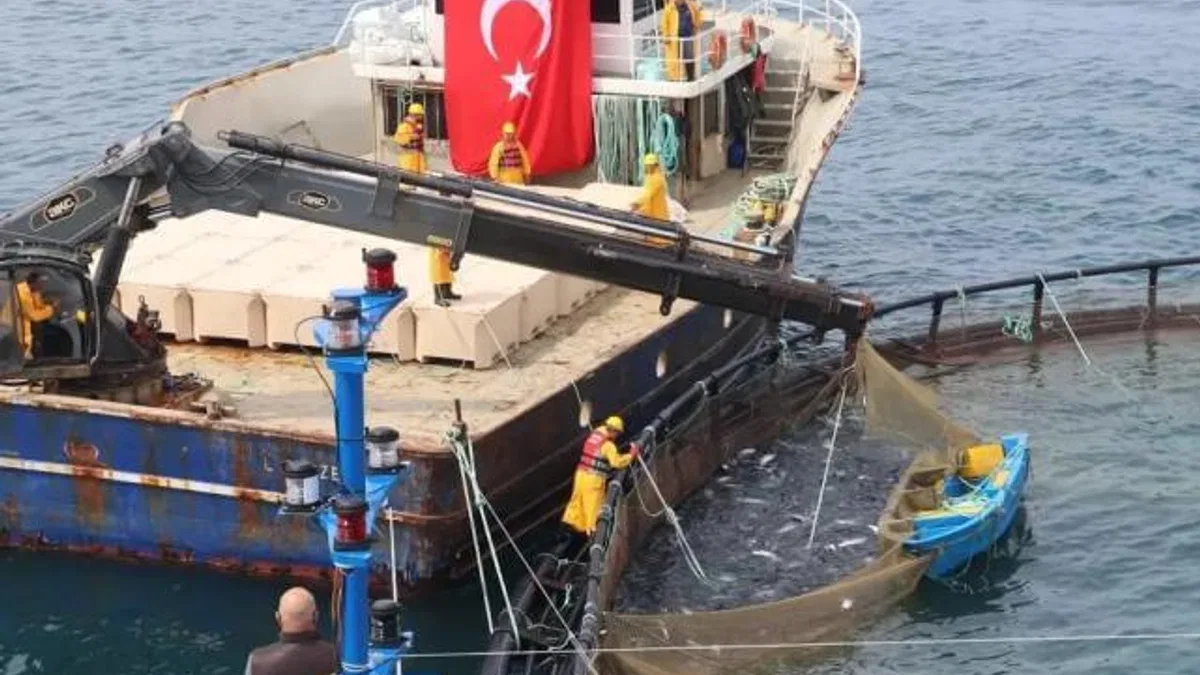Türk somonu ihracatta rekor yolunda… Üretim 75 bin tona ulaştı