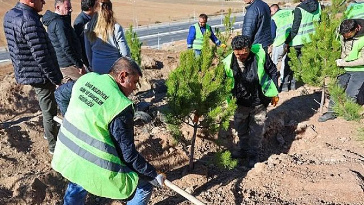 Sivas Belediyesi anlamlı bir çalışmaya imza atarak mevsimlik işçiler adına hatıra ormanı oluşturdu.