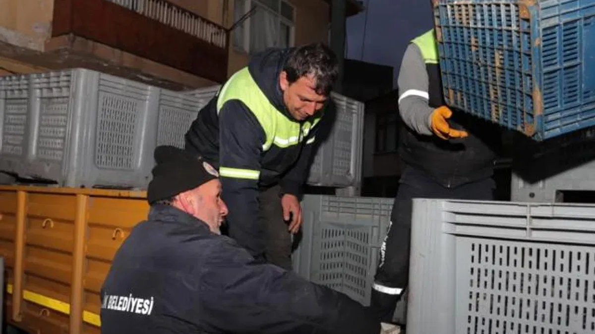 Bursa Gemlikli çiftçinin yüzü gülüyor