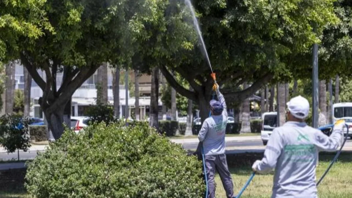 Mersin’de ilaçlama çalışmaları sürüyor