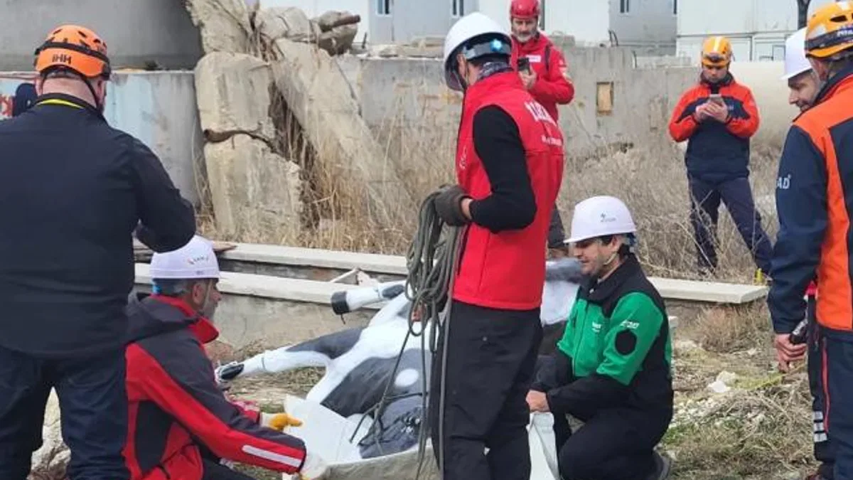 AFAD’dan uluslararası iş birliğiyle hayvan koruma projesi… RESQ-ANIMALS başladı