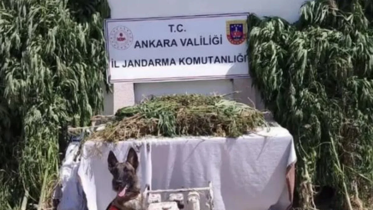 12 ilde Narkoçelik’e 28 tutuklama!