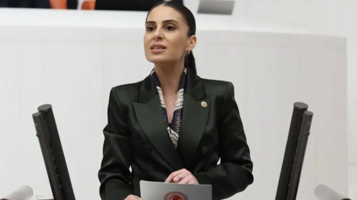 Milletvekili Özcan’dan sokak hayvanları için Bakan Yumaklı’ya önerge