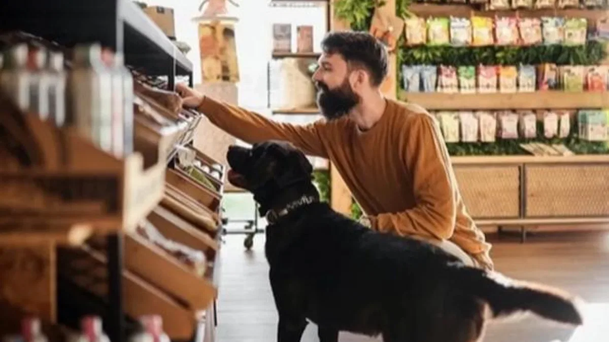 Köpek ve kedi sahipleri sürdürülebilir diyetlere daha açık