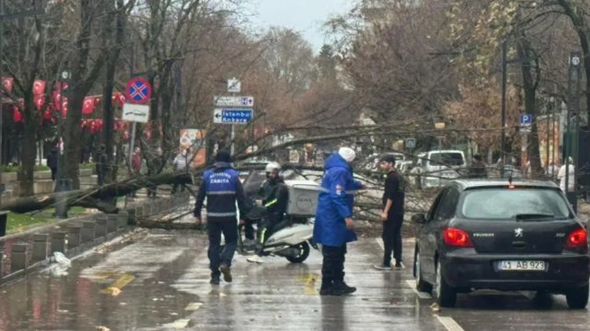 Kocaeli Büyükşehir’de lodos müdahalesi