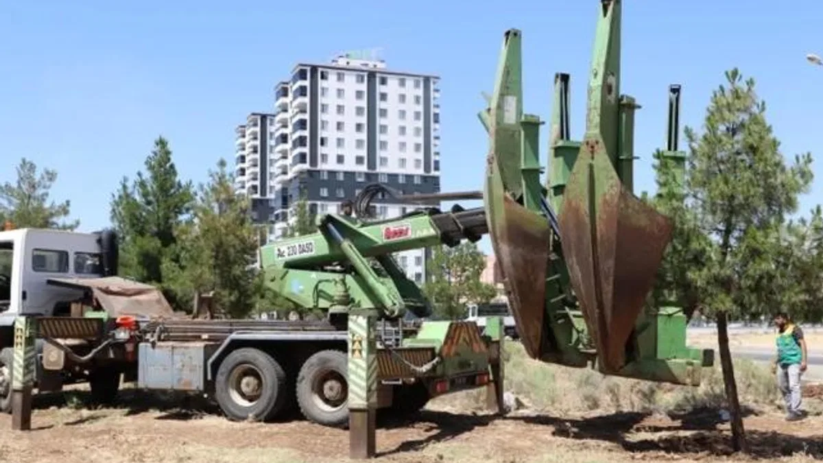 Diyarbakır’dan ağaçlara saygı duruşu