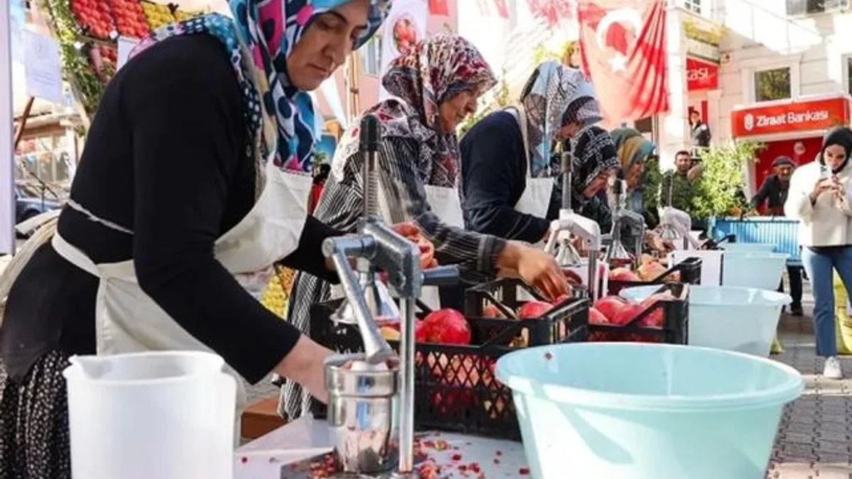 Bilecik nar şenliği ile renklendi