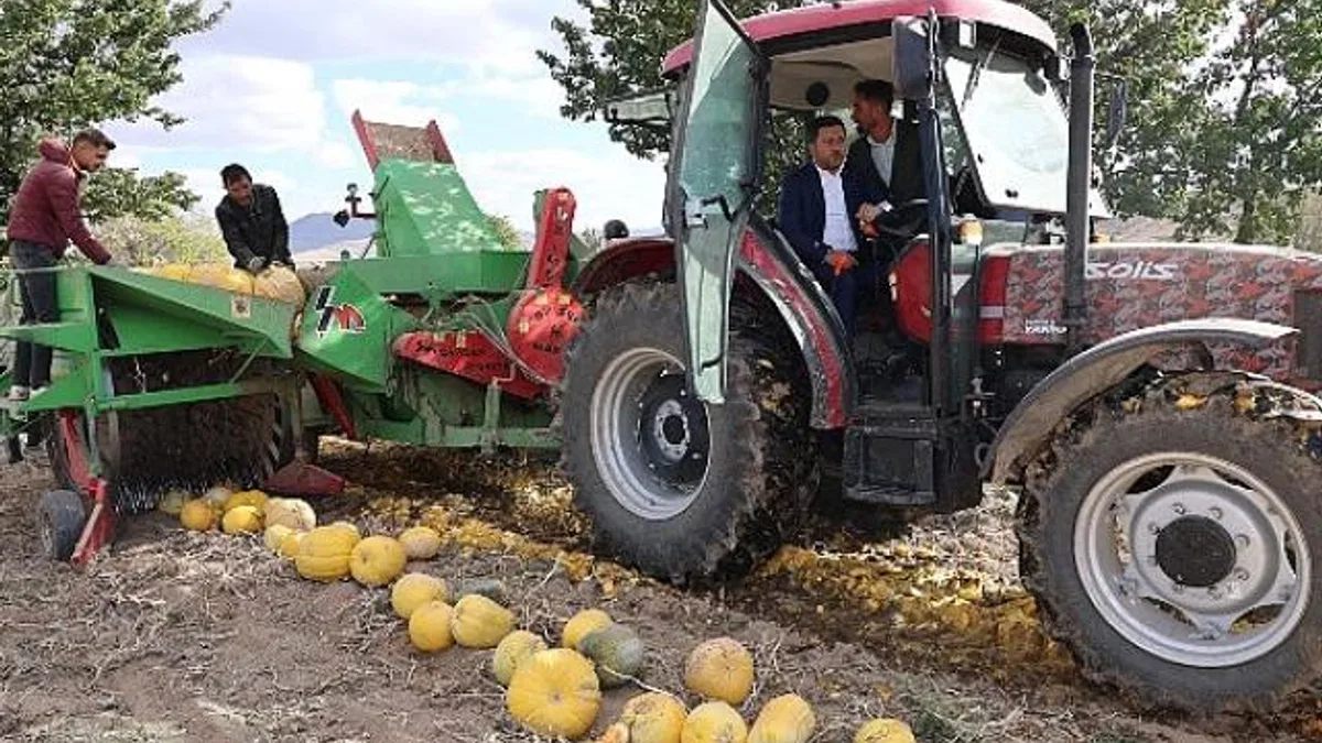 Nevşehir Belediyesi 1. Kabak Çekirdeği Festivali yapıldı.