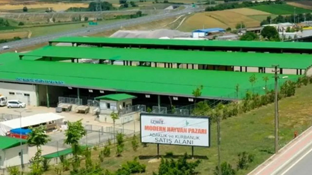 İzmit’te kurban satışı için ön kayıtlar başladı