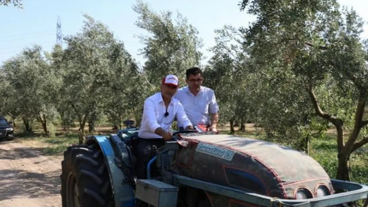 Bursa Gemlik’te zeytin ağaçları suya kavuştu