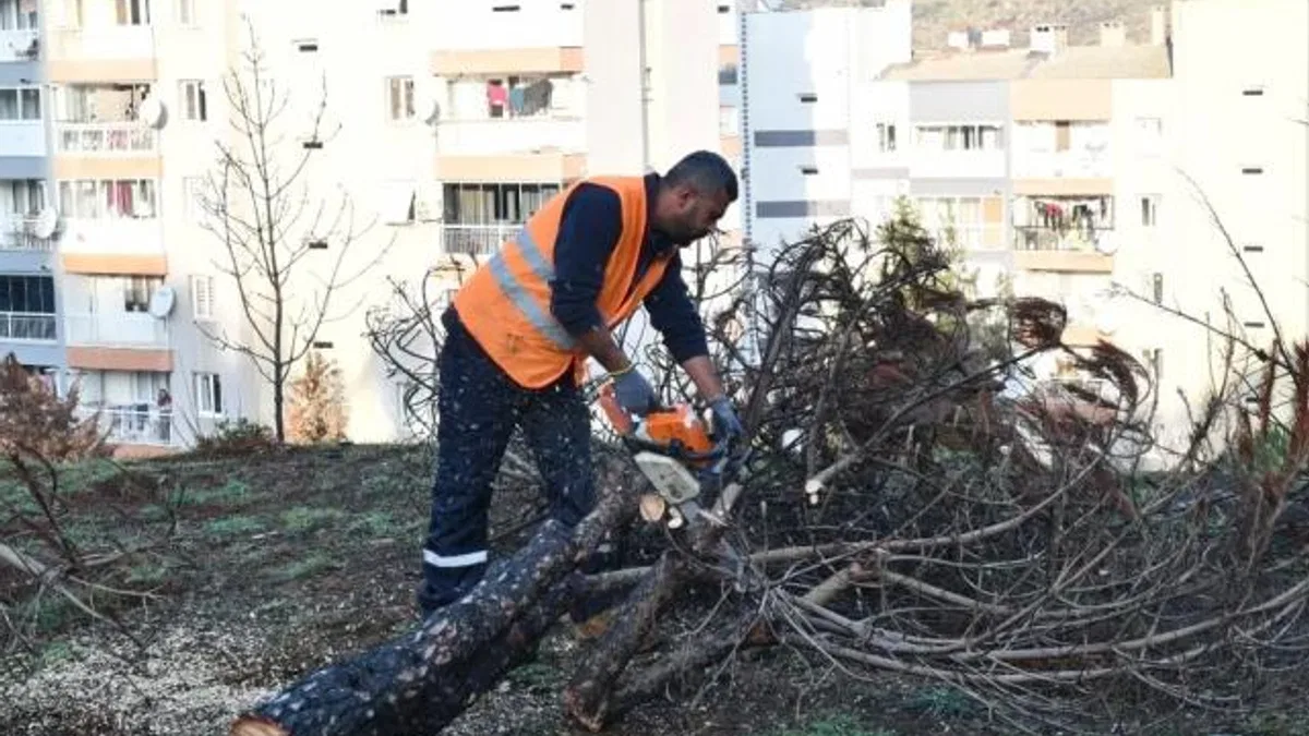 İzmir Çiğli yangın izlerini siliyor!