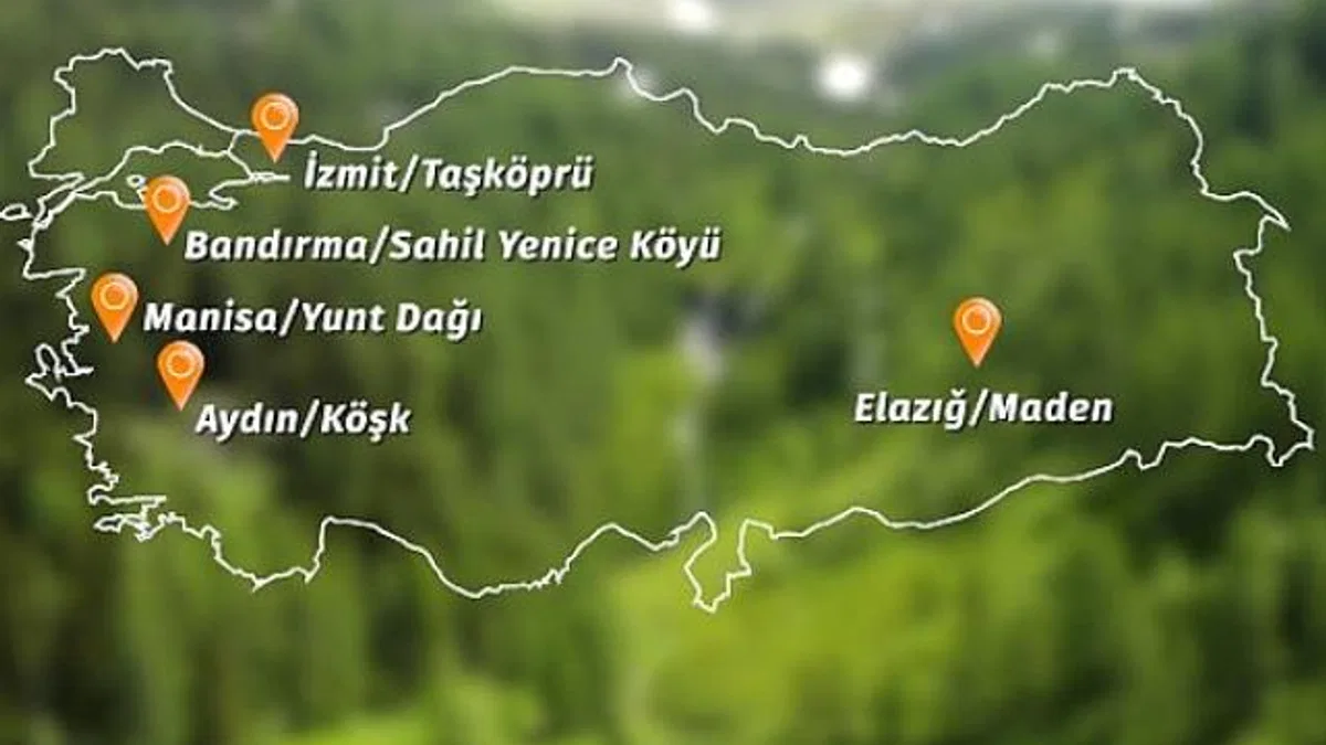 Banvit BRF Ormanları 60 bin ağaca ulaştı