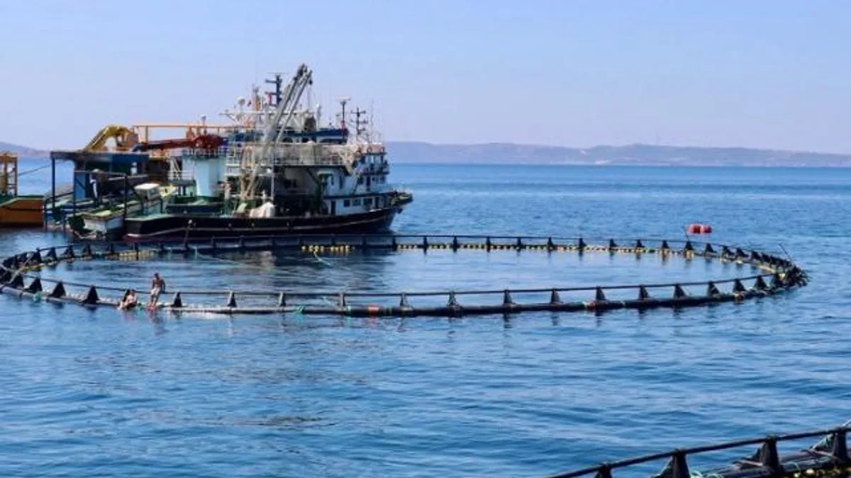 Orkinos çiftlikleri İzmir’den dünyaya açılıyor