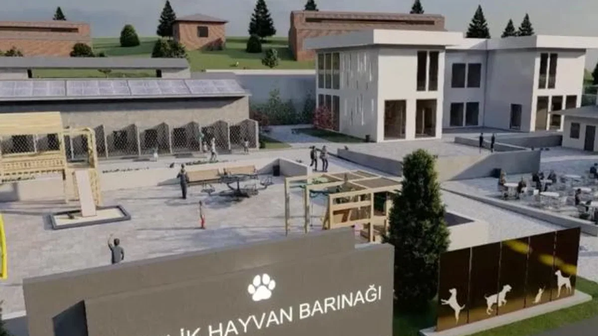 Bursa Gemlik Belediyesi patili dostlara sahip çıkıyor