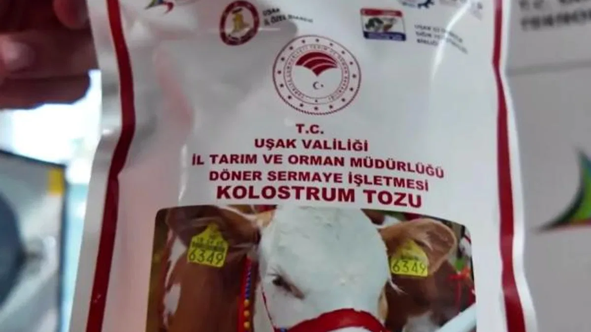 Uşak’ta Türkiye’nin ilk dondurarak kurutma kolostrom tesisi kuruldu… Hayvancılıkta yenilikçi adım hayata geçti