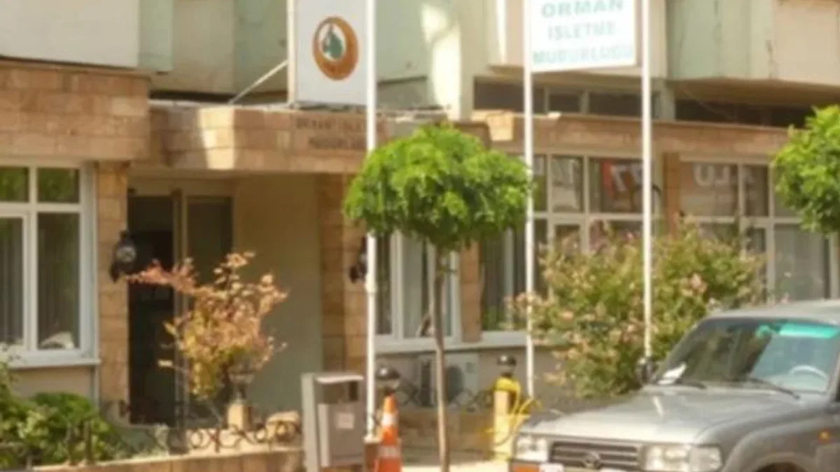 Orman İşletmesi Müdürlüğü’nün satış ihalesine katılan olmadı