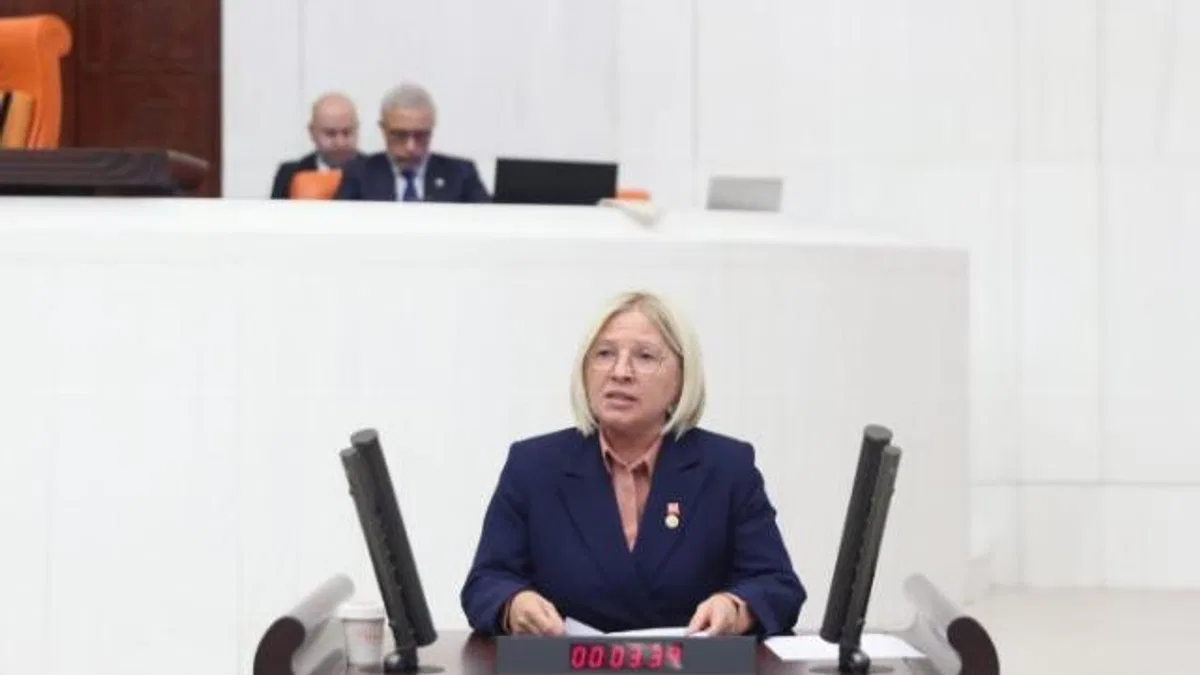 Nurten Yontar: “Ne kadını koruyabiliyorlar ne de aileyi”
