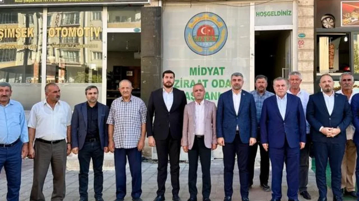 AK Parti Milletvekili Faruk Kılıç, Midyat’ta çalışmaları inceledi