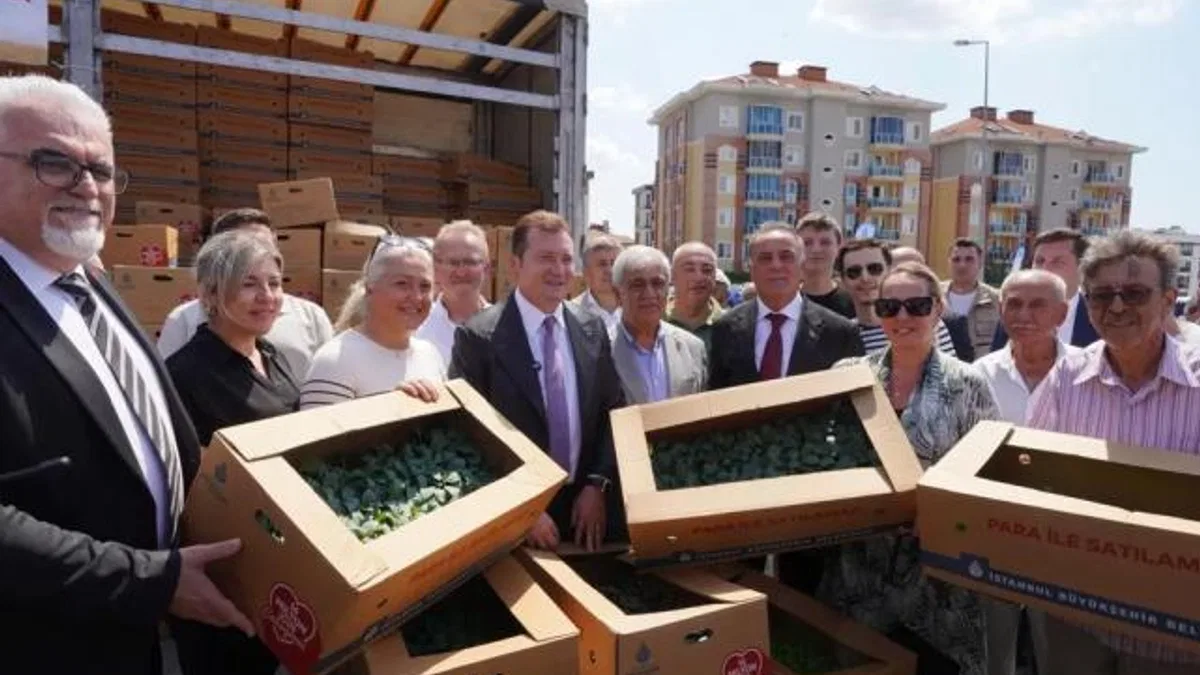 İstanbul’dan çiftçilere 5 yılda 70 milyon fide desteği