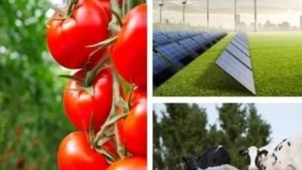 Tarıma dayalı yatırımlarıda hibelere ilişkin kriterler netleşti