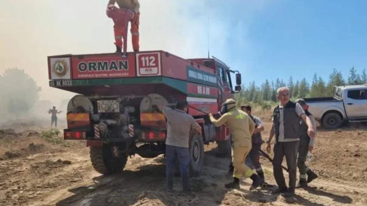 OGM’den yangın uyarısı! Çoğu ihmal ve dikkatsizlikten çıktı!