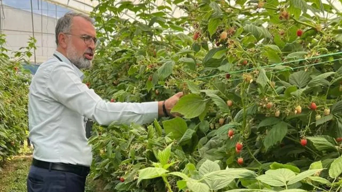 Bursa Kestel ve Gürsu’dan Sırbistan’a tarım çıkarması