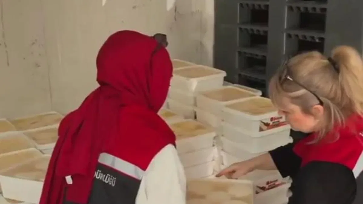 Bayrampaşa’da dev gıda denetimi… 35 ton peynire el kondu!
