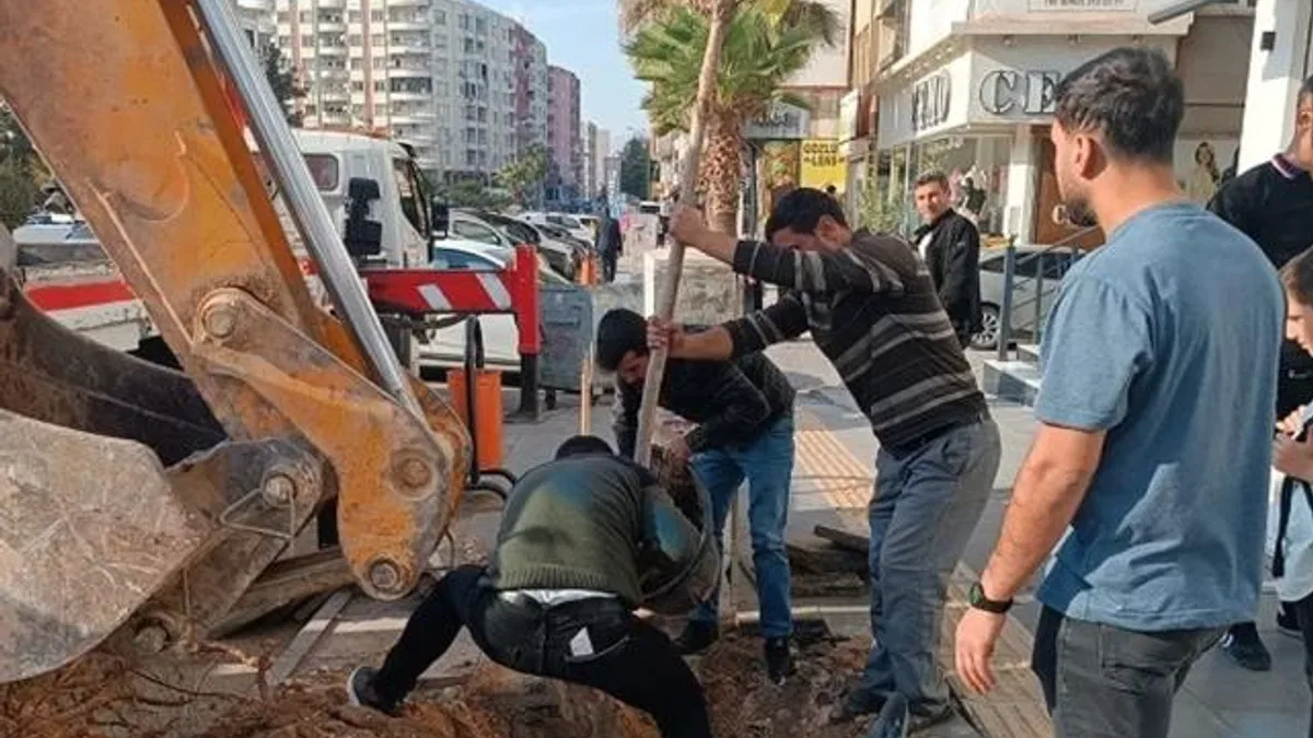 Mardin’de ağaç kesenler fidan dikti