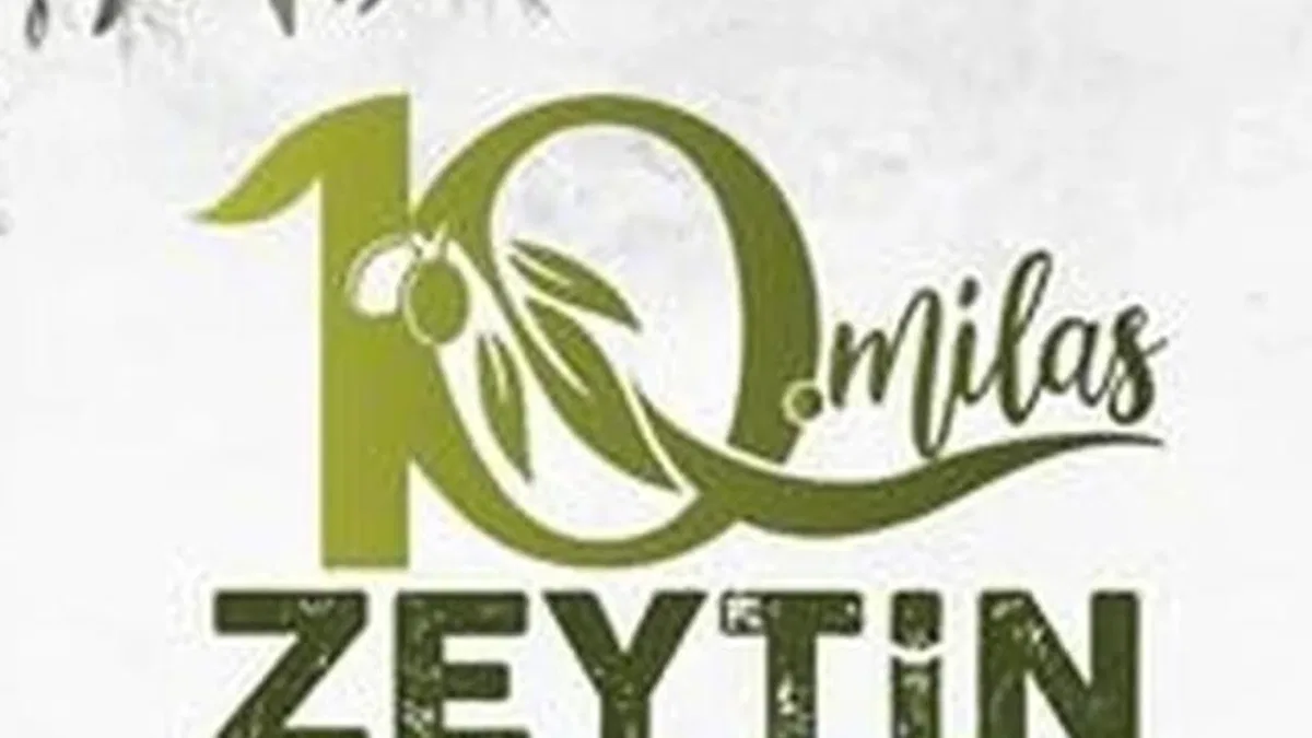 Milas’ta zeytin hasat şenliği için geri sayım başladı