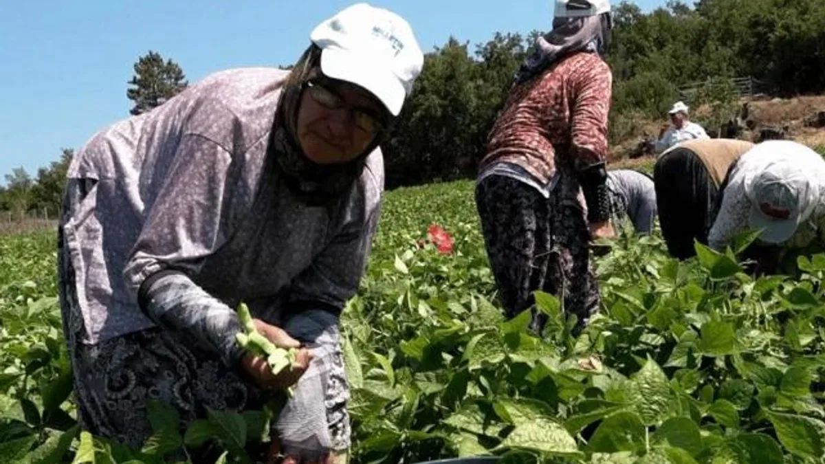 Balıkesirli üreticinin yüzünü Büyükşehir güldürdü