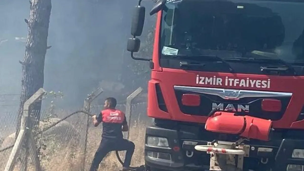 İzmir Bergama’da orman yangınına müdahale ediliyor