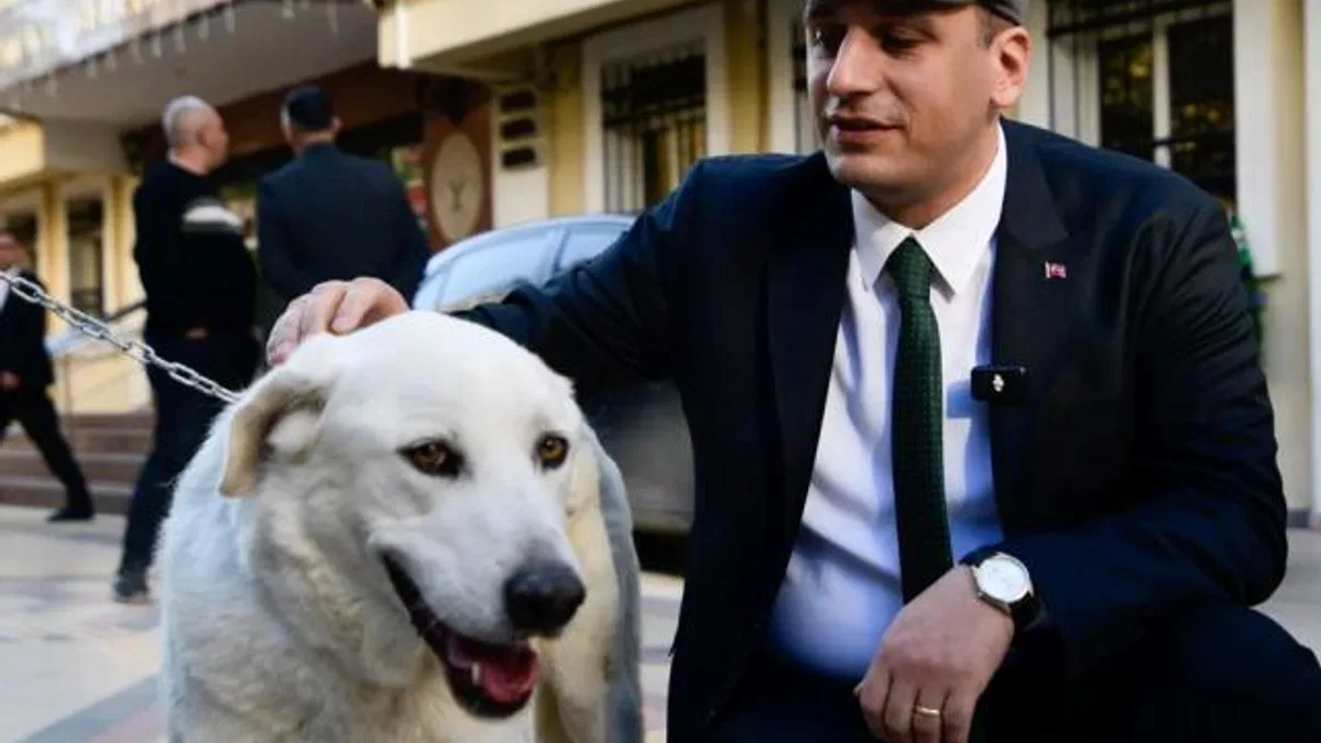 İzmir Bornova uyutmadı, sahiplendi