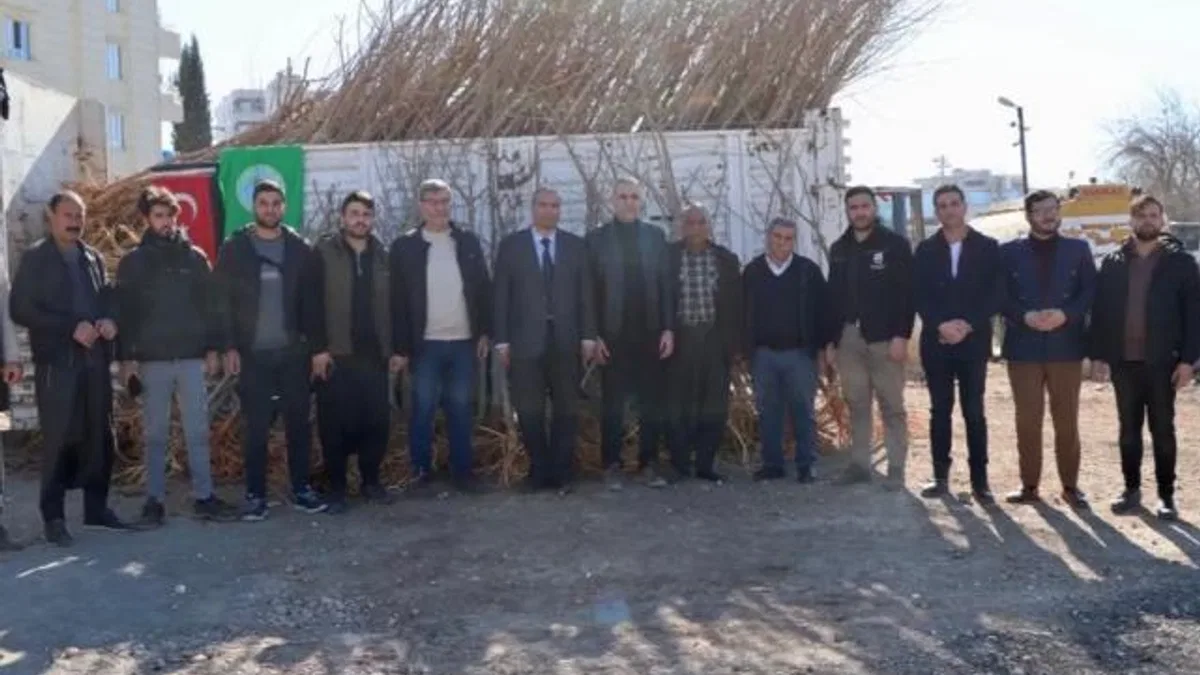 Çiftçilere yetişkin dut ağacı desteği