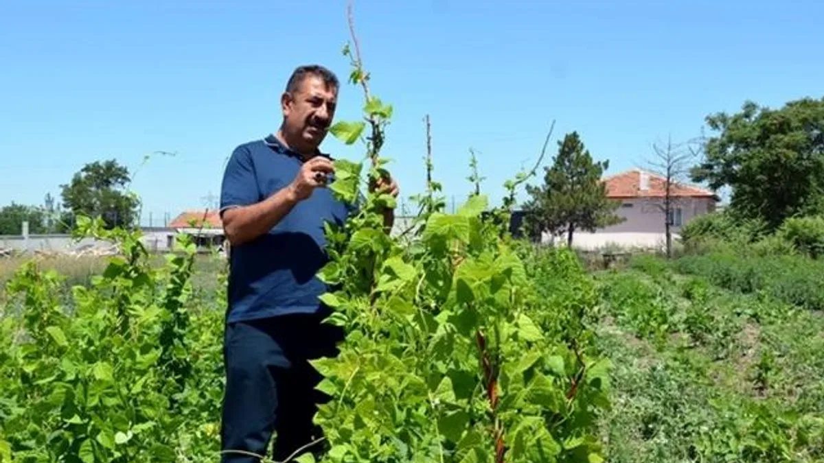 Ziraat Mühendisleri kendi çiftliklerini kurabilmesi için yeni projelerle teşvik edilmeli