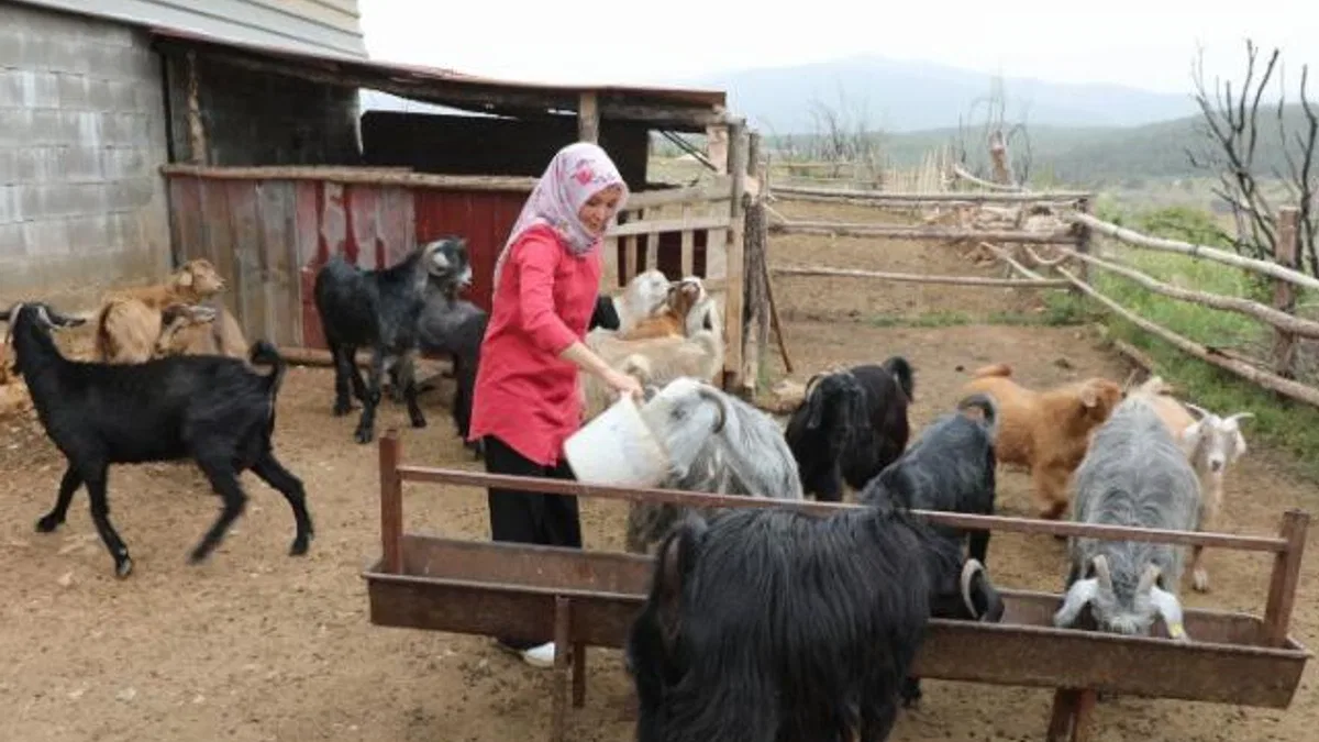 Muğlalı kadın üreticiler kazanıyor