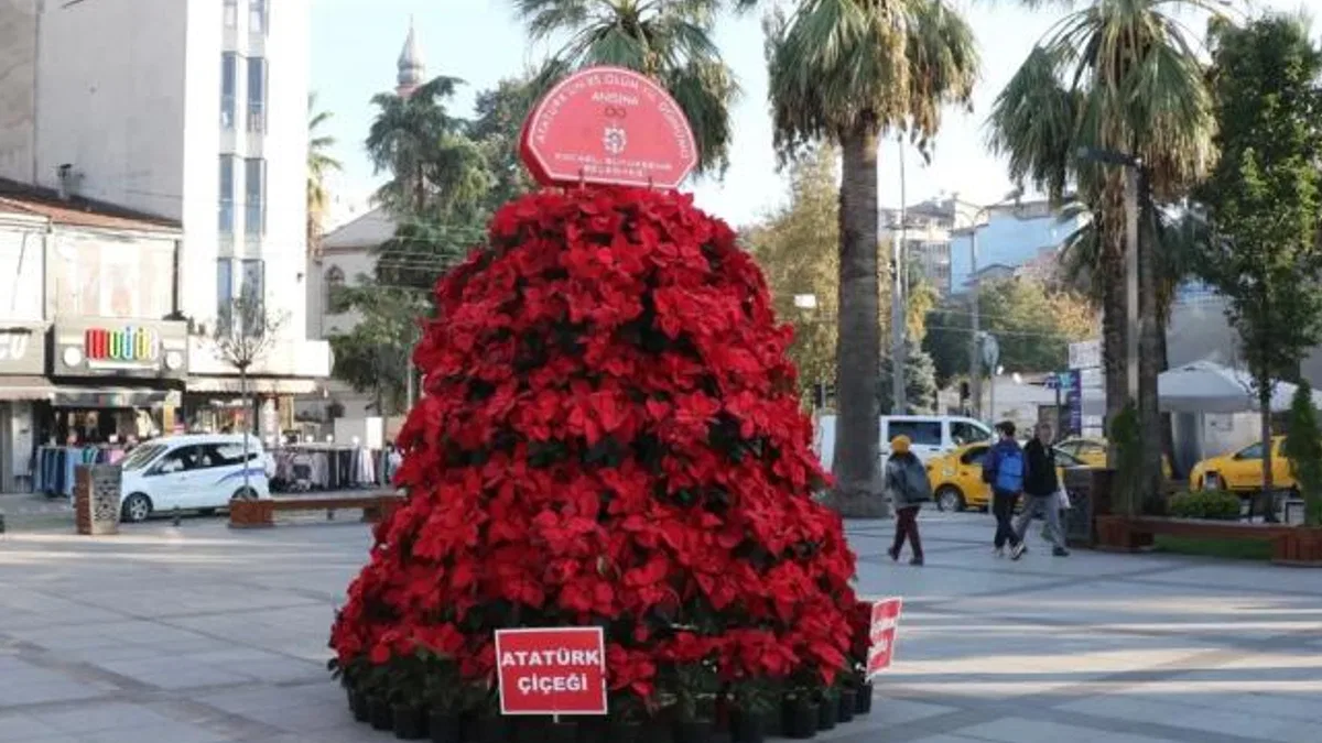 Kocaeli ‘Atatürk Çiçeği’ ile süsleniyor… Atatürk 1086 Atatürk çiçeği ile anılacak