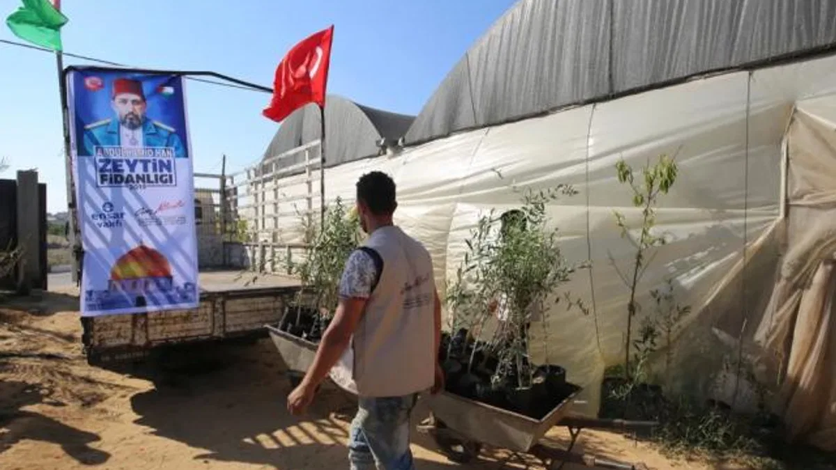 Genç Aktivistler’den Filistin’e 10 bin zeytin fidanı