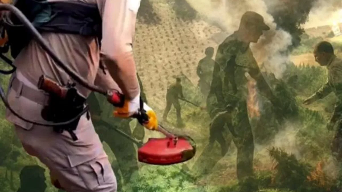 Diyarbakır’da uzaktan algılama ile zehir tacirlerine geçit verilmedi! Milyonlarca kök kenevir ele geçirildi
