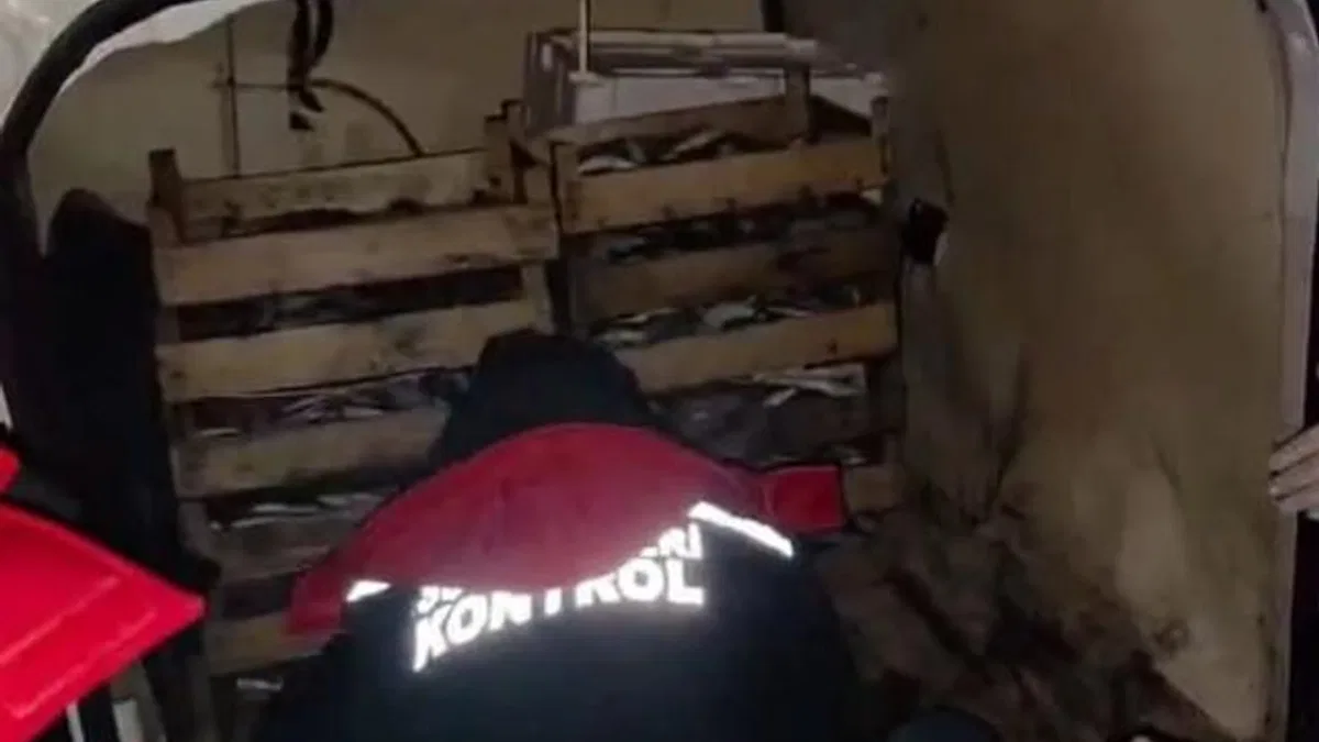 İzmir’de yasadışı avcılığa karşı sıkı önlem