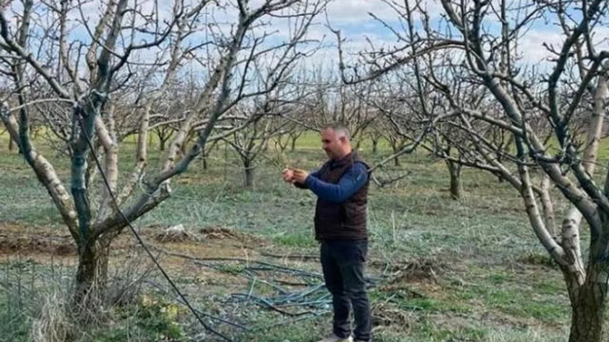Devlet destekli tarım sigortalarında büyük artış