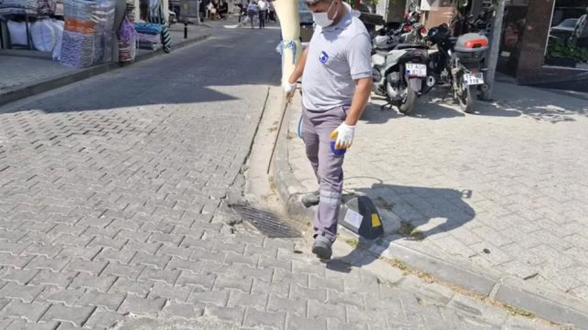 Çanakkale’de sinek alarmı