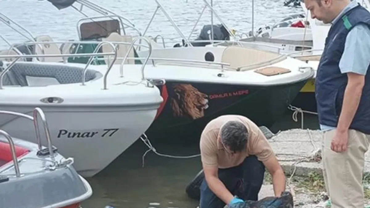 Yalova’da denizi kirleten iki belediyeye ‘Çevre’ cezası