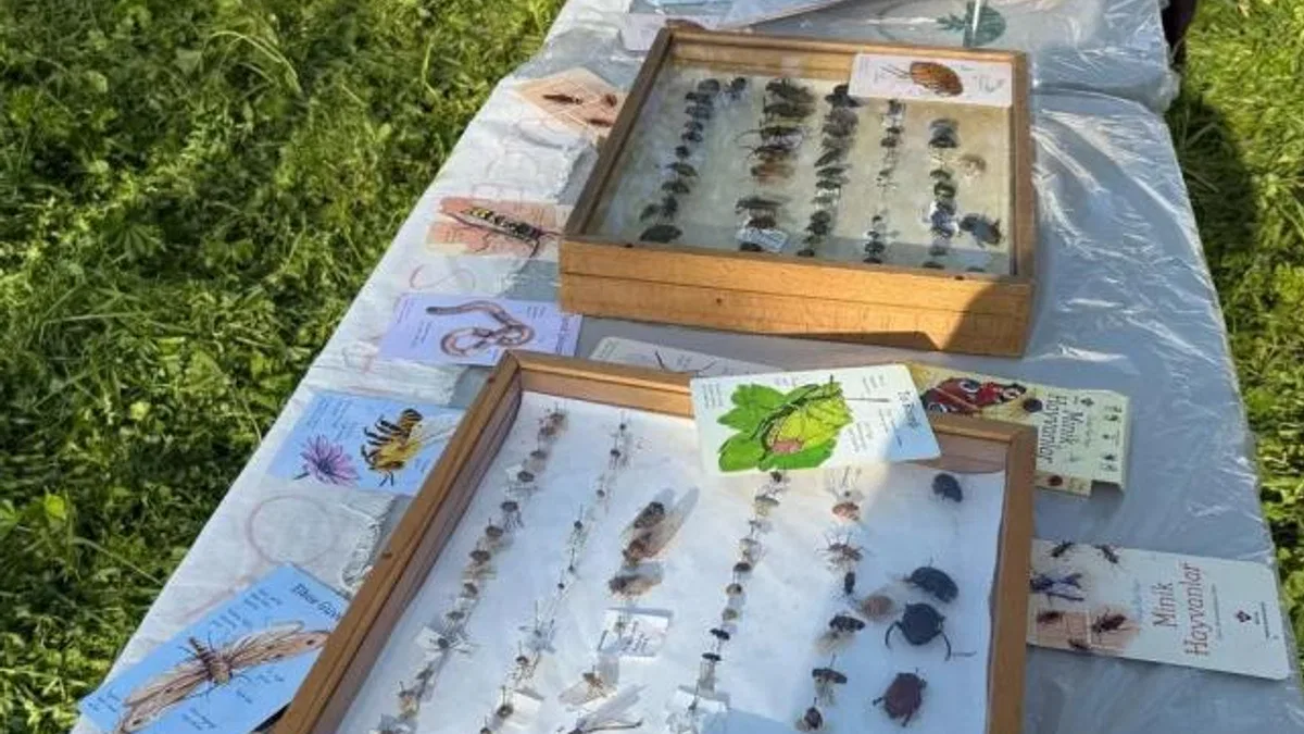 Bursa Osmangazi’de ‘Böcek Bilim’ buluşması yapıldı