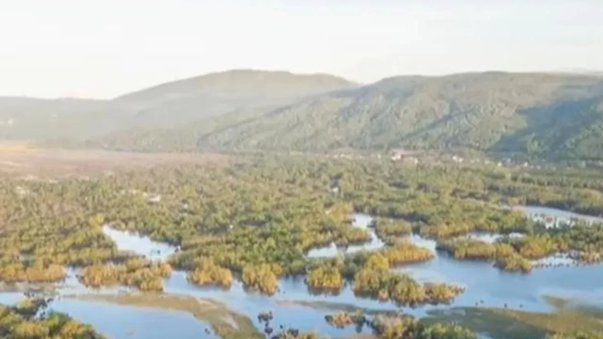 Karacabey Longozu su toplamaya başladı